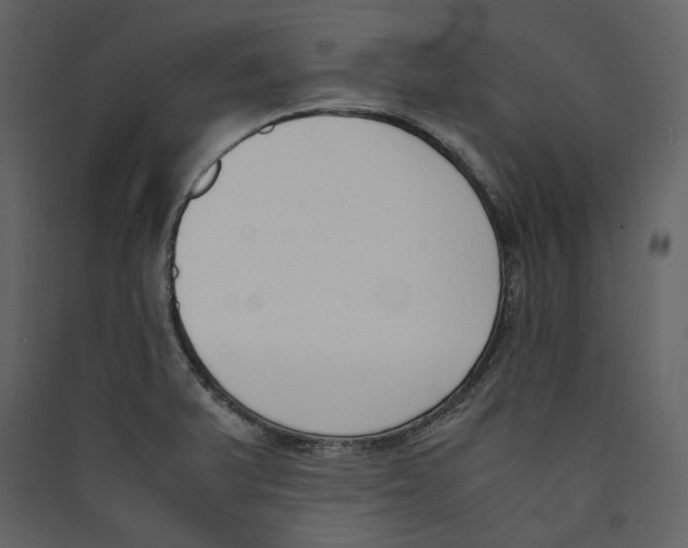 X0000089401375200707131731