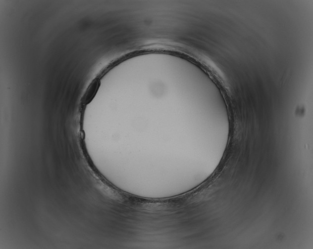 X0000089401376200707131731