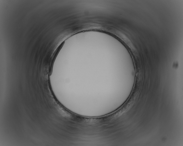 X0000089401377200707131731