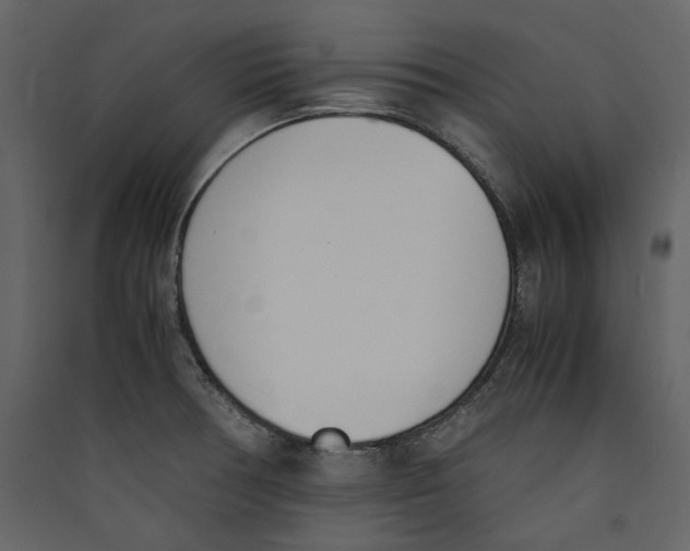 X0000089401378200707131731