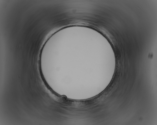X0000089401379200707131731