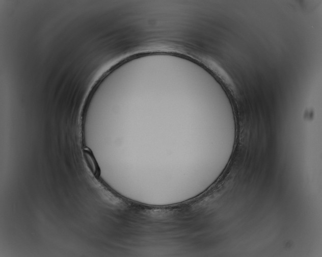 X0000089401380200707131731