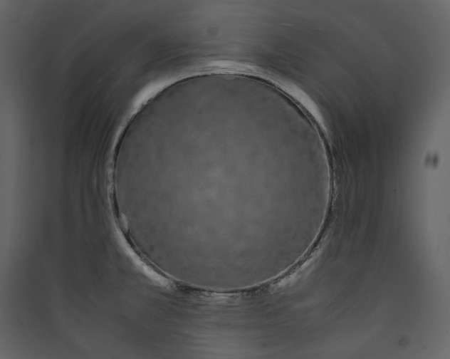 X0000089401381200707131731