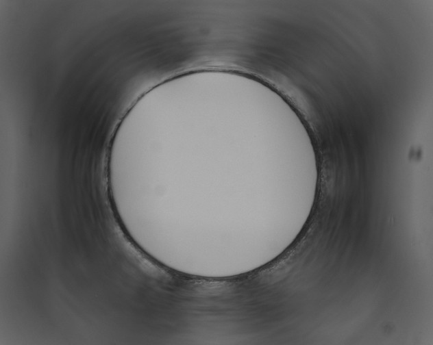 X0000089401382200707131731