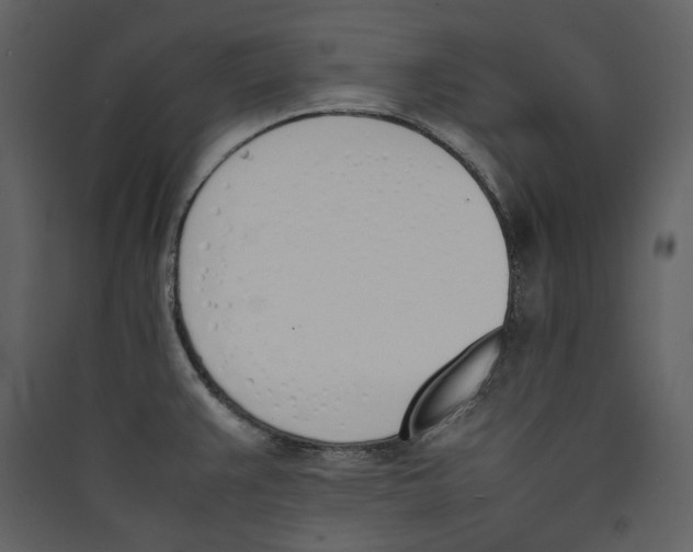 X0000089401383200707131731