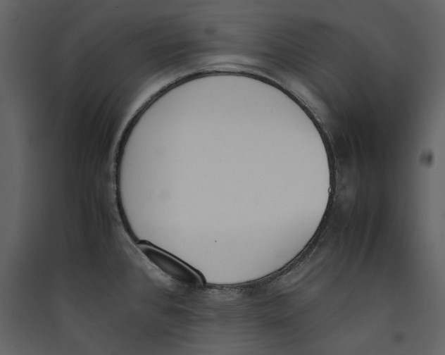 X0000089401384200707131731