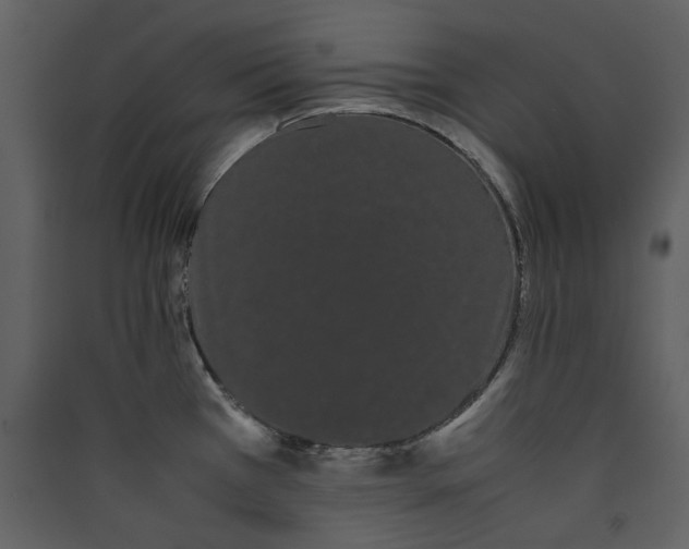 X0000089401385200707131731