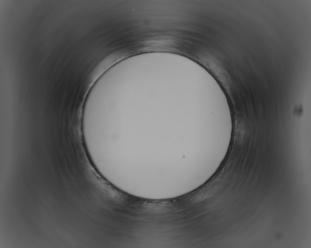 X0000089401386200707131731