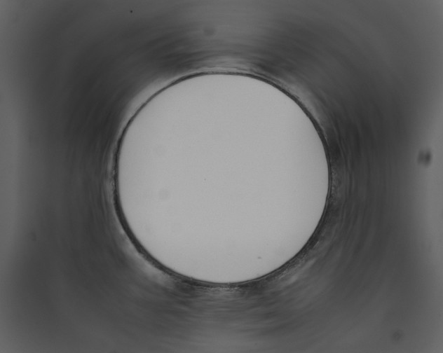 X0000089401387200707131731