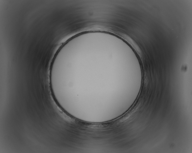 X0000089401388200707131731