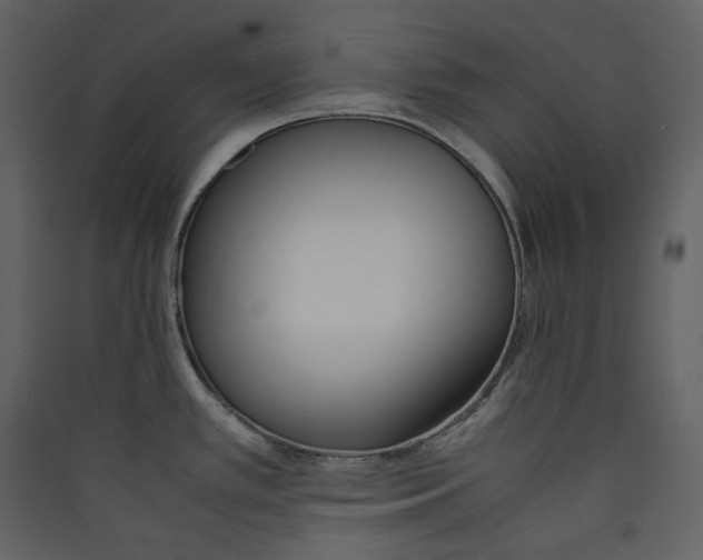 X0000089401389200707131731