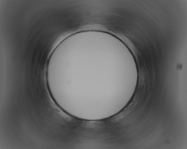 X0000089401390200707131731