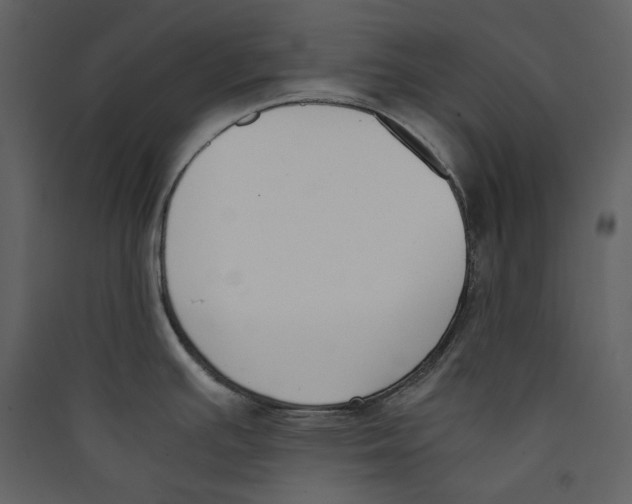 X0000089401391200707131731