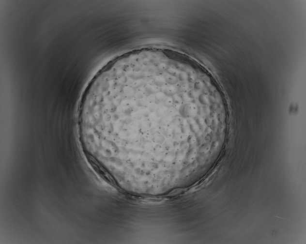 X0000089401392200707131731