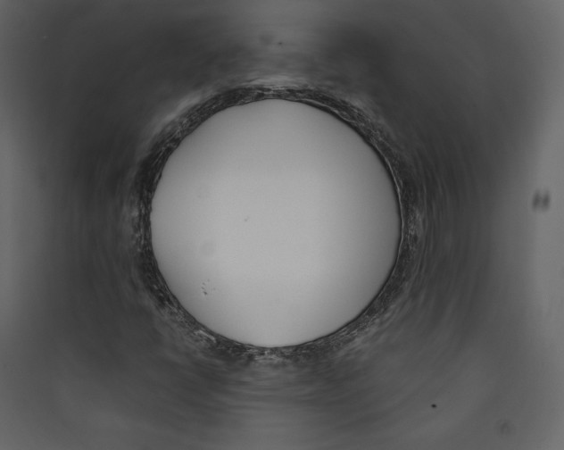 X0000089401398200707131730