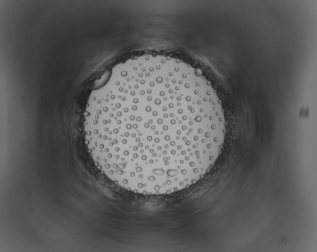 X0000089401399200707131730