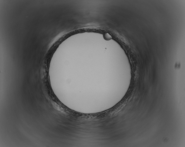 X0000089401400200707131730