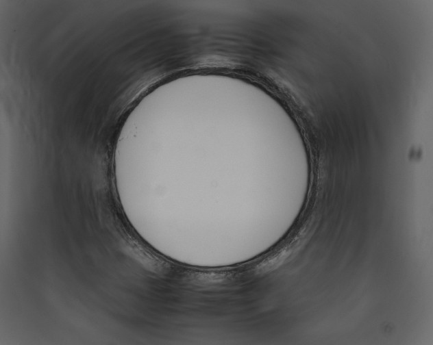 X0000089401401200707131730