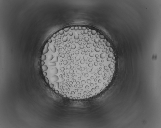 X0000089401405200707131730