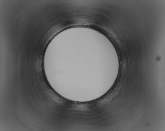 X0000089401409200707131730