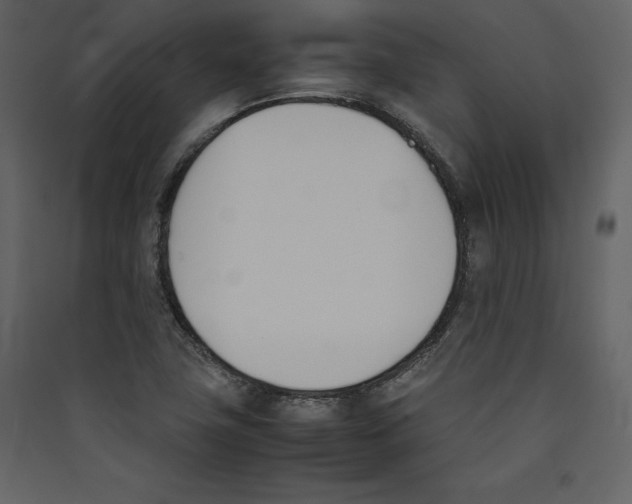 X0000089401411200707131730