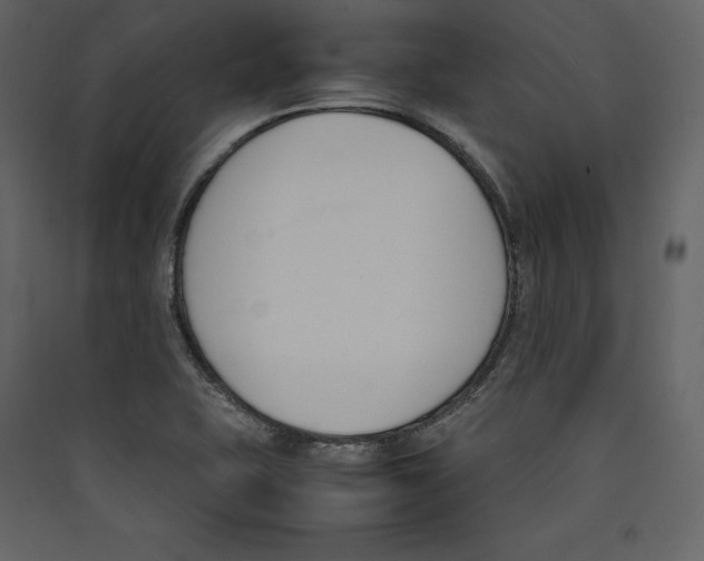 X0000089401415200707131730