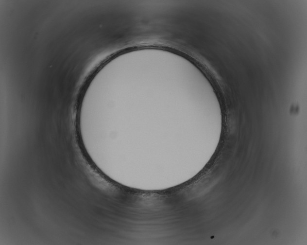 X0000089401416200707131730