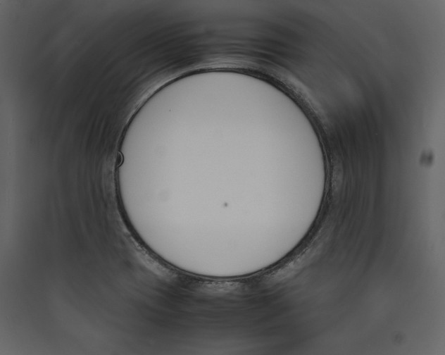 X0000089401417200707131730