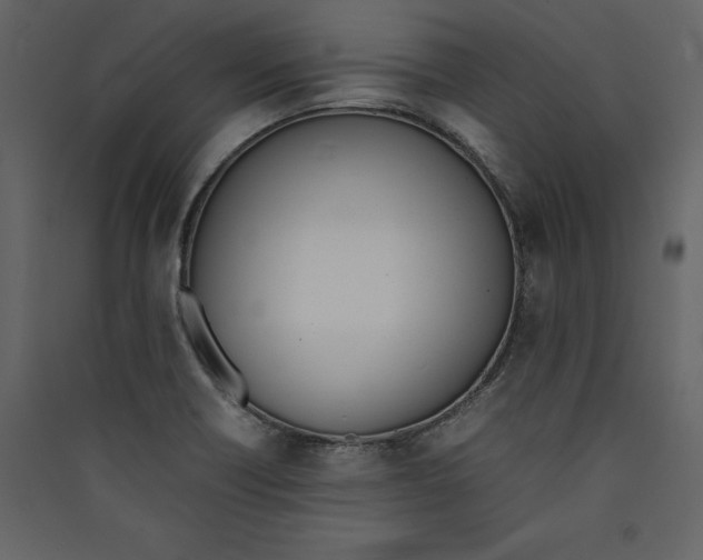 X0000089401418200707131730