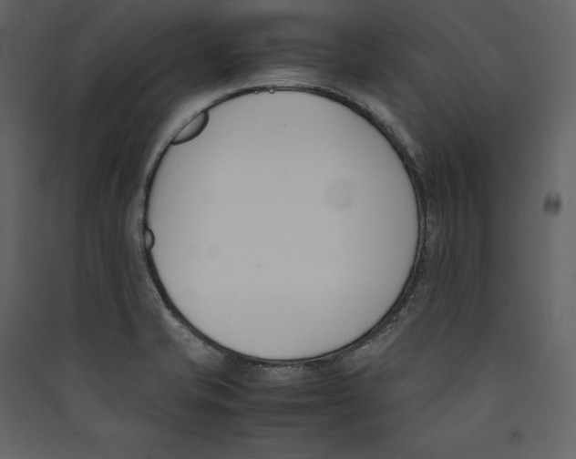 X0000089401421200707131730