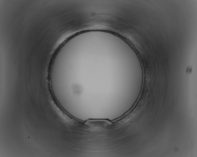 X0000089401422200707131730