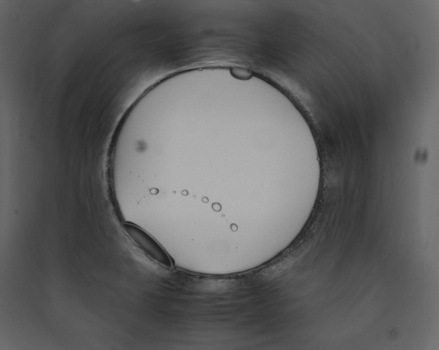 X0000089401423200707131730