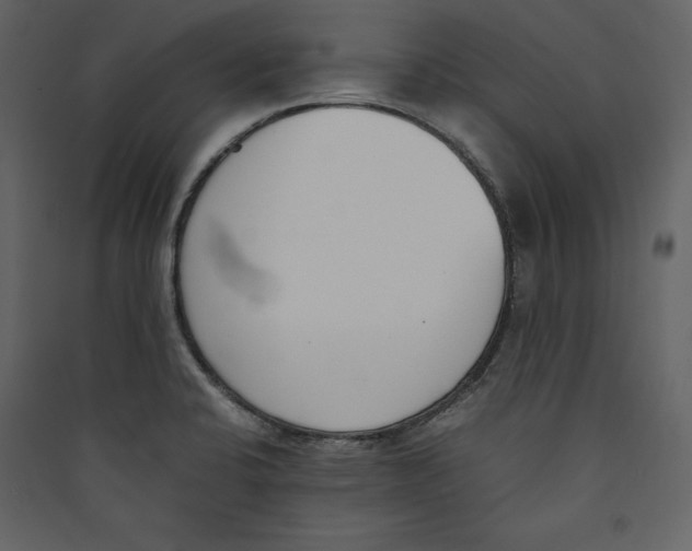 X0000089401424200707131730