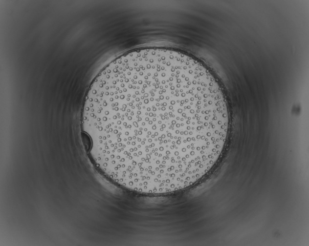 X0000089401425200707131730