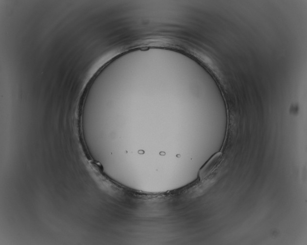 X0000089401426200707131731