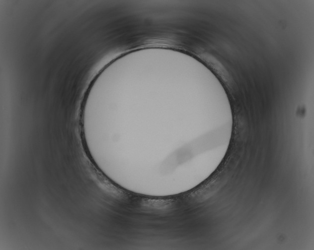 X0000089401427200707131731