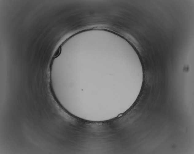 X0000089401428200707131731