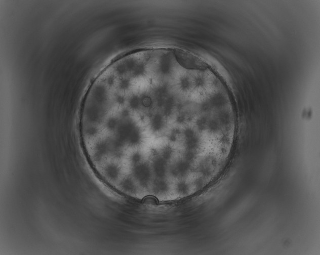 X0000089401429200707131731