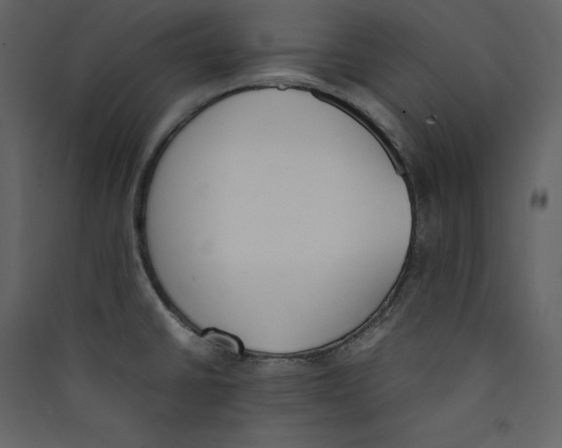 X0000089401430200707131731