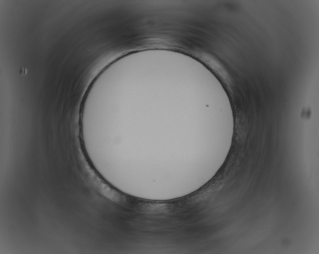 X0000089401431200707131731