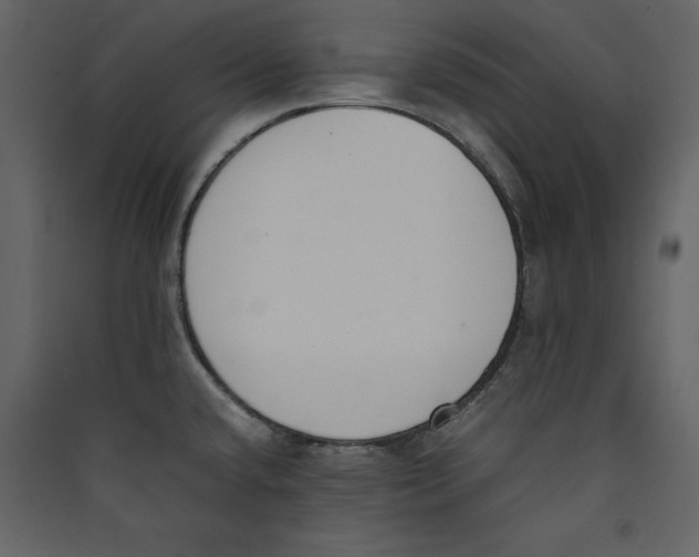 X0000089401432200707131731