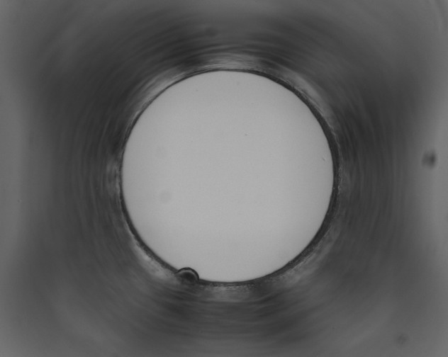 X0000089401433200707131731