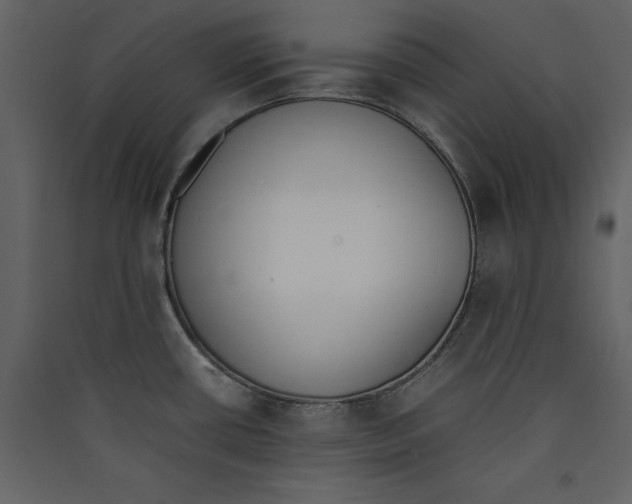 X0000089401434200707131731