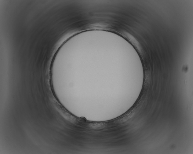X0000089401435200707131731