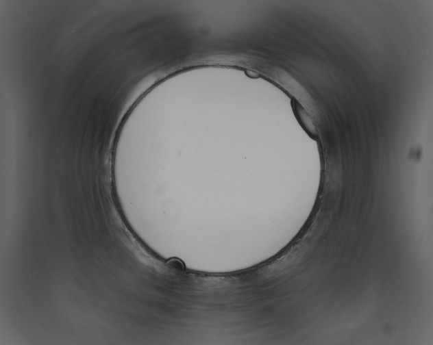 X0000089401436200707131731