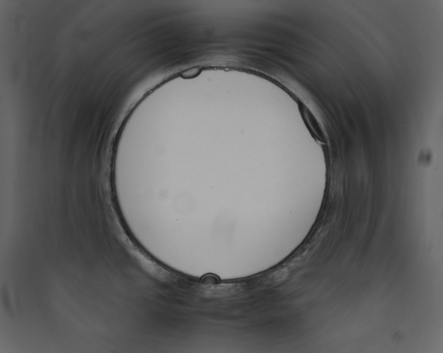 X0000089401437200707131731