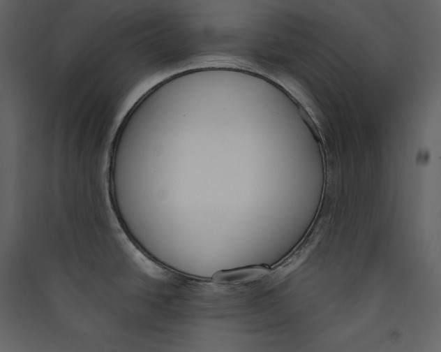 X0000089401438200707131731