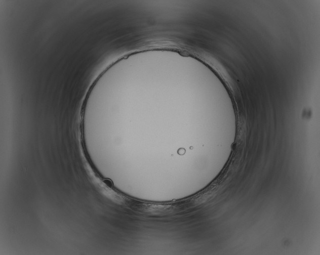 X0000089401439200707131731