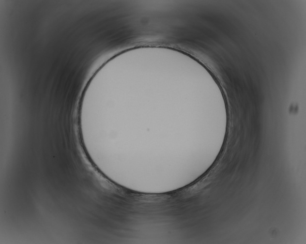 X0000089401440200707131731