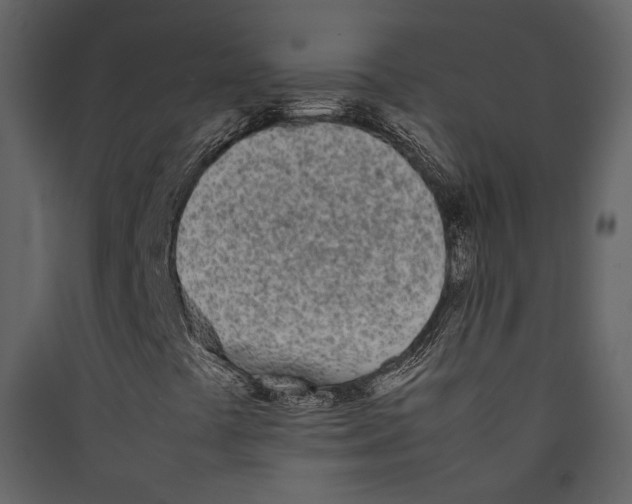 X0000089401441200707131730